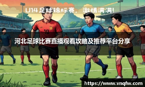 河北足球比赛直播观看攻略及推荐平台分享