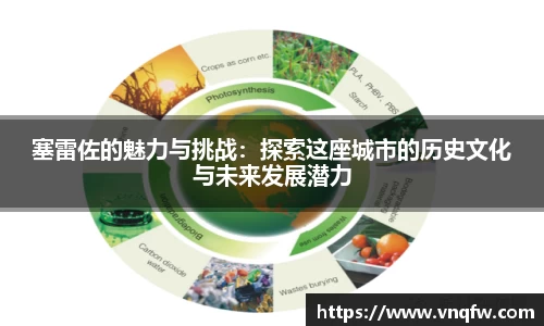 塞雷佐的魅力与挑战：探索这座城市的历史文化与未来发展潜力